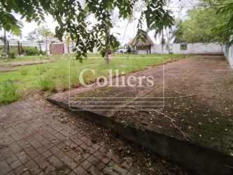 Courtyard with exposed beams, tiled patio, garden area and palm trees in land for sale Penonomé Coclé Panama