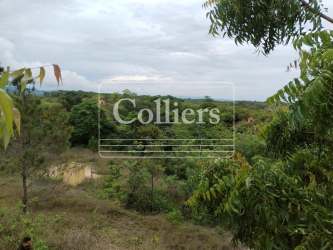 Green open landscape with trees and rolling hills for sale in Coclé province Panama