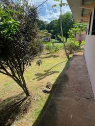 Spacious grassy yard with concrete walkway, trees, bushes at La Chorrera lot