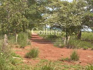 Agricultural land for Sale in San Lorenzo - 0 bedrooms