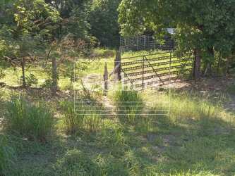 Fenced grassy farmland with metal gate entry under trees at San Lorenzo ranch Panama