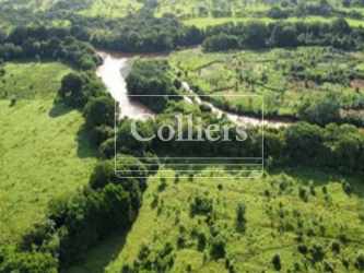 Aerial of green landscape with river winding through pasture and forest in San Lorenzo Panama