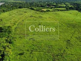 Panoramic aerial of undeveloped green land ideal for agriculture and cattle with natural terrain Panama