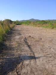 Large cleared plot with dirt road and mountain view perfect rural land Penonomé Panama