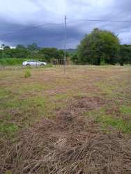Open countryside lot with utility pole and trees perfect for projects in Coclé Panama