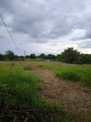 Vacant developable land with utility poles and some trees for sale in rural Penonomé Panama