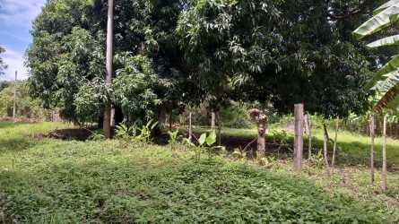 Small simple house with terrace on rural land for sale near Pacific beach Juan Hombrón Panama