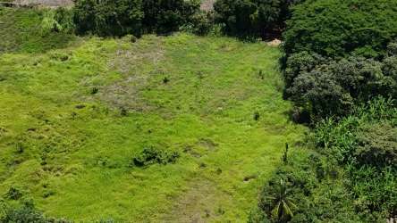 Panoramic aerial of flat rural land with mature trees near beaches in Juan Hombrón Coclé Panama
