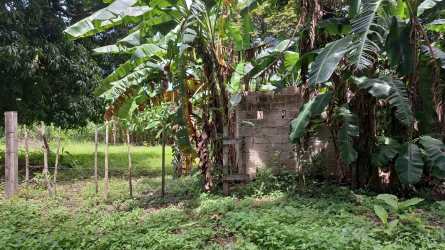 Natural rural environment with cleared flat land and fencing near Juan Hombrón beaches Panama
