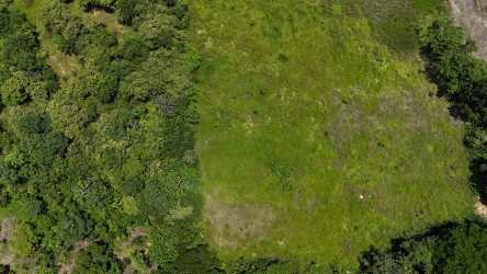 Large countryside land for sale near Juan Hombrón beach in Panama's Coclé province