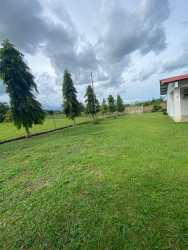 Large garden view backyard with grass and trees at house for rent Los Boquerones Santiago