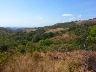 Scenic mountain land with native vegetation suitable for development or farm