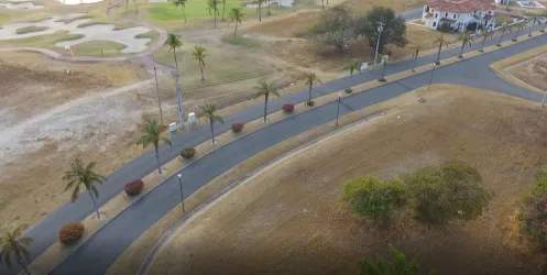 Aerial of curved palm tree lined street near golf course at Vista Mar San Carlos Panama