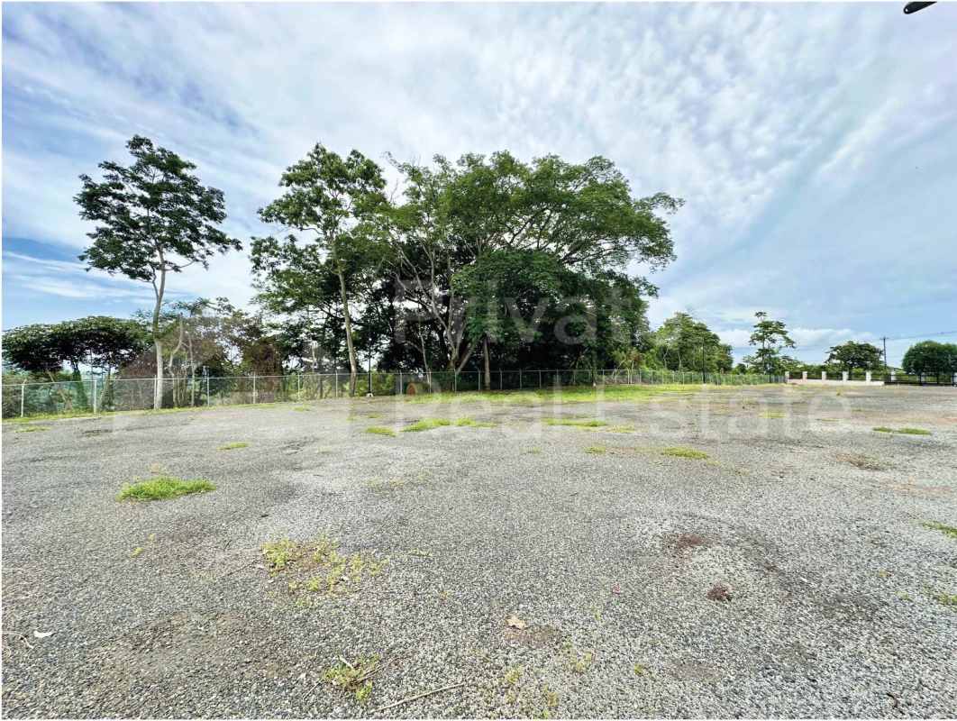 Large fenced gravel lot surrounded by trees at Rancho Café commercial area Panama City