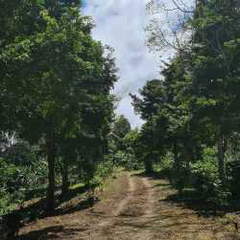 Agricultural Land for Sale in Santa Clara - 0 bedrooms