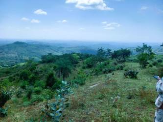 Green pastures and rolling hills great for cattle farm Calobre Panama