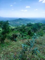 Dense forest and hillside terrain on 55 hectare ranch land Calobre Panama