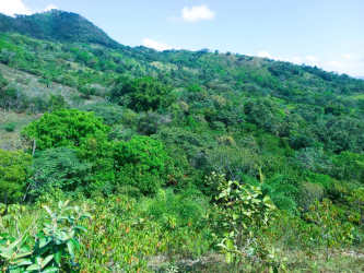 Hilly farmland with mature forests and mountain backdrop Calobre Panama Ranch