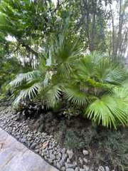 Villa for Sale in Buenaventura - 4 bedrooms