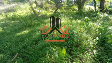 Vacant wooded land with natural vegetation ideal for farming or cattle Penonomé Panama