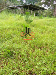 Agricultural rural property farmland with shed and open landscape in Penonomé Panama