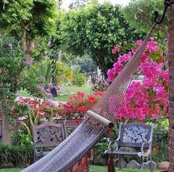 Beautiful garden with hammock, flowering plants in artisan villa Penonomé Panama