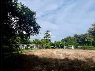 Property for rent in Panama City - 0 bedrooms