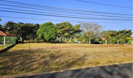 Vacant grassy lot near paved road in Rio Mar Beach Community with trees