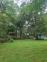 Vacant plot with thick vegetation and roadside frontage in Santiago Panama ideal commercial residential use