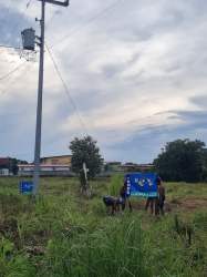 Flat vacant land with power lines and highway access Rio Hato Cocle Panama.