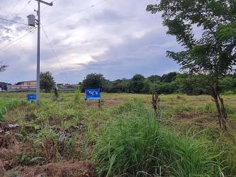 View of the paved road, utility poles and empty commercial land Rio Hato Panama.