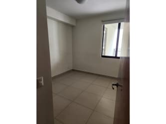 Community swimming pool with sundeck and lounge chairs in PH River Valley Panama Pacifico