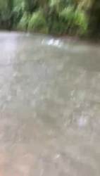 374 Hectares Titled Ranch with Waterfall Soná Veraguas