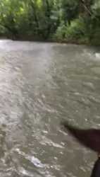 Scenic river stream within tropical forested ranch land Soná Panama