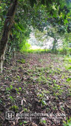 Natural forested parcel with access road in Palmira Abajo near Boquete Panama