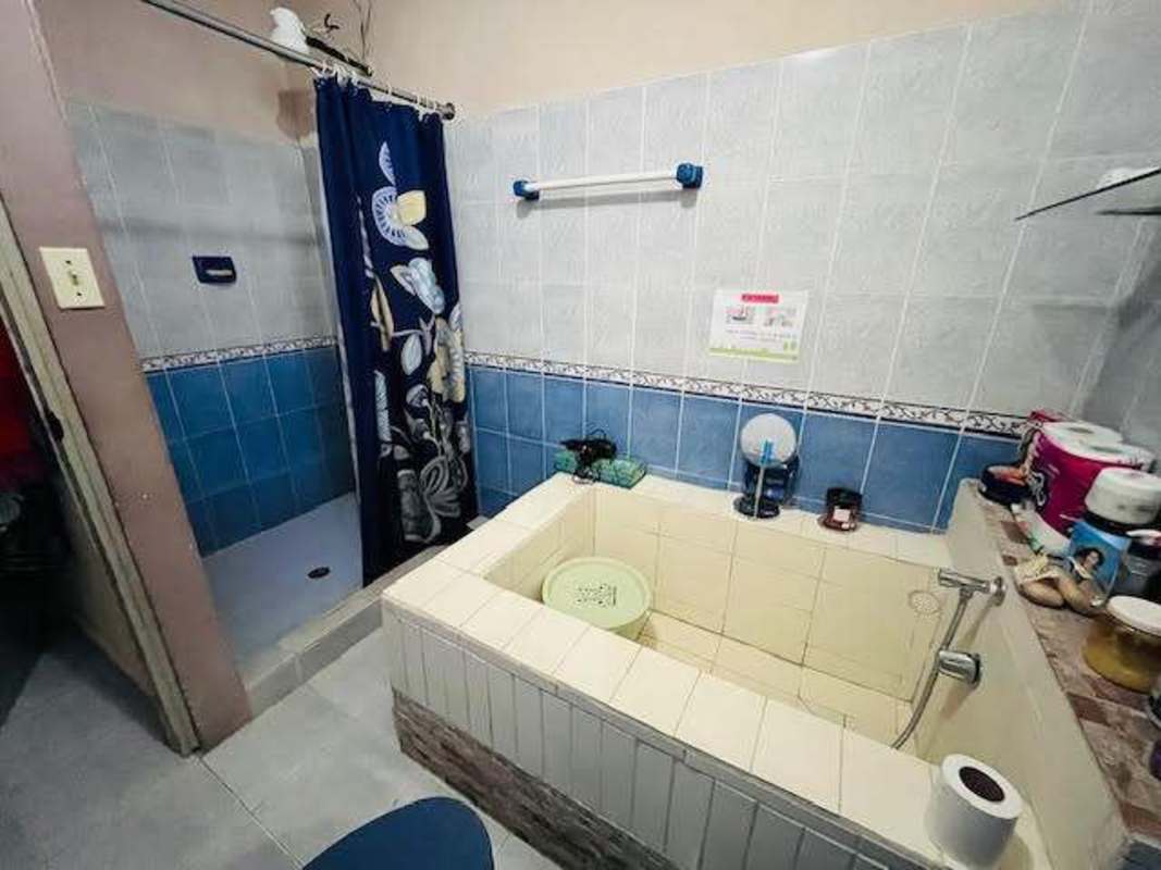 Spacious backyard garden with mature trees house for sale Juan Díaz Panama