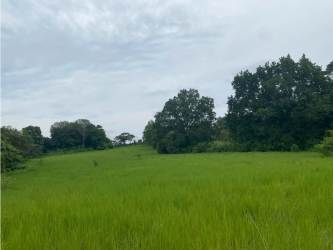 Wide vacant field with wooded backdrop in Nuevo Emperador Arraiján Panama