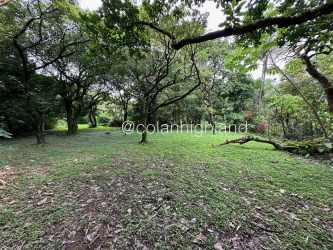 6,000m² Lot for Luxury Home or Eco Project El Valle in Antón - View 3