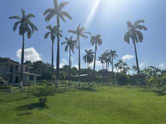 Fenced backyard with lawn and covered patio at Residencial Howard Panama Pacifico house