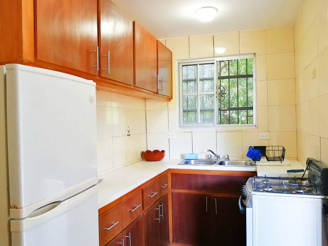 Kitchen with ample cabinetry and natural light in Clayton loft apartment Panama