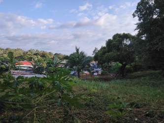 Green vegetated residential lot with open space and trees La Chorrera Panama