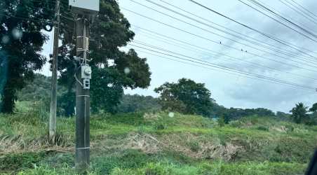 Lush green landscape by roadside with utility poles ideal for commercial development Panama