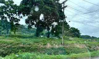 Commercial Land for Sale and Rent in Chagres - 0 bedrooms