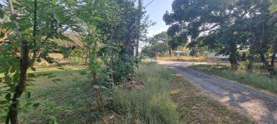Corner lot with gravel driveway utility poles and mature trees Nueva Gorgona Panama