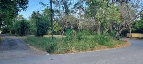 Corner lot with tall grass mature trees and road frontage Nueva Gorgona Panama