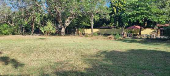 Spacious grassy cleared land surrounded by mature trees ready for development Nueva Gorgona Panama