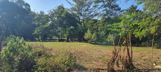 Cleared flat grassy lot surrounded by trees under blue sky in Nueva Gorgona Panama