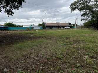 Large cleared lot with grass and trees beside commercial stores in David, Chiriquí