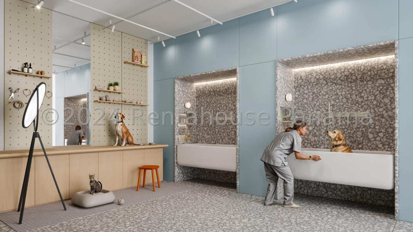 Modern pet grooming area in luxury Panama condominium