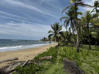 4 Hectares Beachfront Caribbean Land Palenque Colón in Colón City - View 4